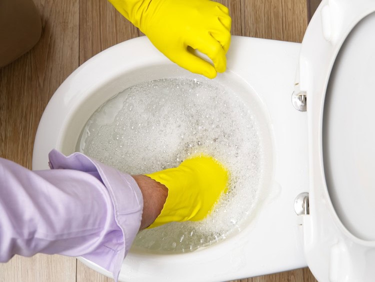 Plumber fixing blocked toilet